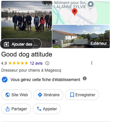 Good Dog Attitude
